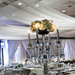 weddings